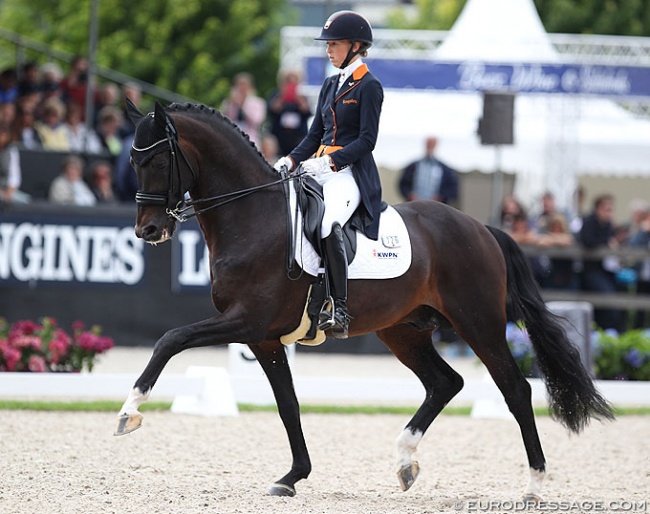 Ferdeaux at the 2017 World Championships for young dressage horses :: Photo © Astrid Appels