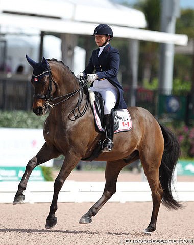 Jill Irving and Arthur at the 2018 CDI Wellington :: Photo © Astrid Appels