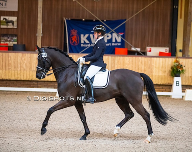 Margreet Prosman and Ivanhoe at the 2020 Dutch Indoor Championships competing at Z2 level :: Photo © Digishots