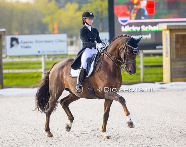 Micky Schelstraete and Gregwaard at the 2022 CDI Kronenberg :: Photo © Digishots