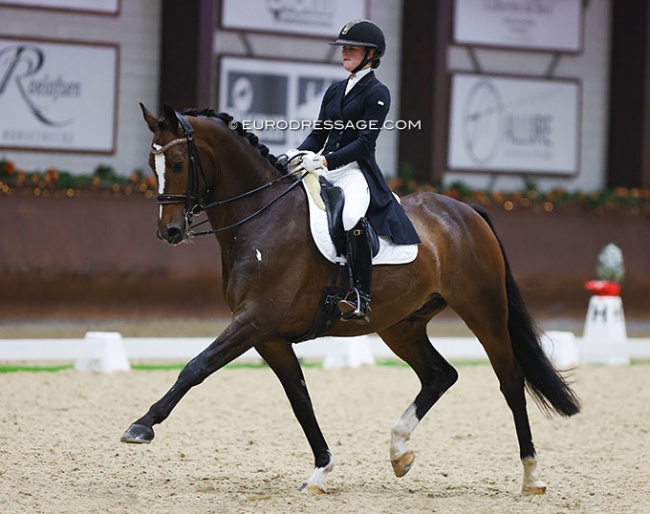 Knight Rider at the 2022 CDI Kronenberg :: Photo © Astrid Appels