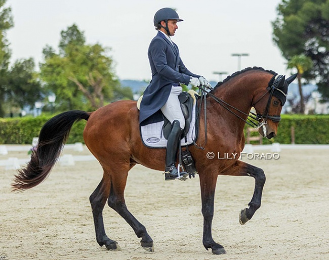 Jordi Domingo and Handsome C competing in Spain this year :: Photo © Lily Forado