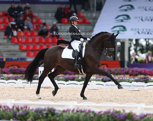 Anna Mierzwinska on Dean Martin at the 2022 World Championships Dressage in Herning :: Photo © Astrid Appels