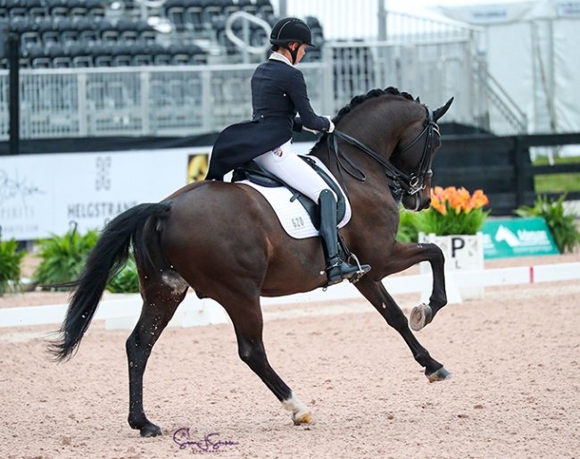 Susan Pape and Harmony Sport Horses' Eclectisch at the 2023 CDI Wellington :: Photo © Sue Stickle