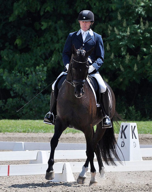 Argentinian dressage judge, rider, trained Gabriel Armando competing in 2016 :: Photo © private