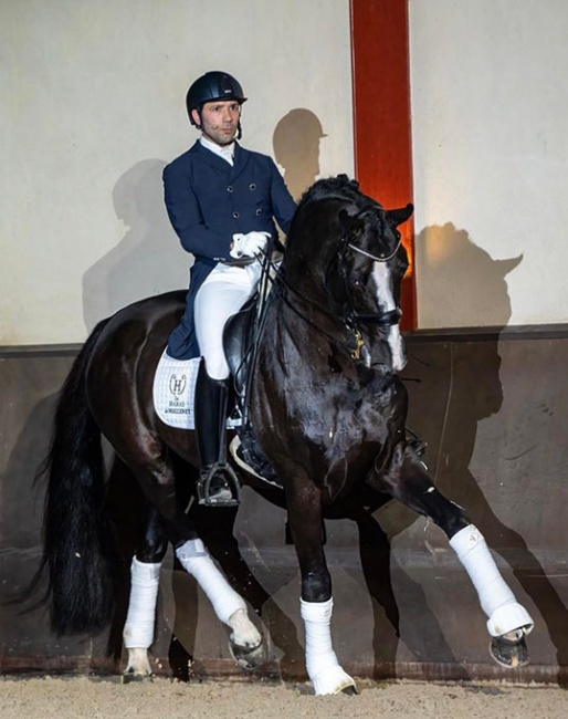 Manuel Dominguez and Danciano de Malleret at the first Haras de Malleret private stallion show on 3 February 2023 :: Photo © Karen Chaplin 