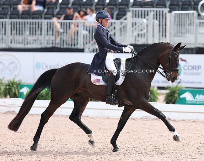Benjamin Ebeling on Status Royal in the U25 Inter II at the 2023 CDIO Wellington :: Photo © Astrid Appels