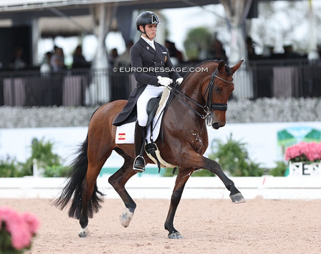 Pablo Gomez Molina and Ulises de Ymas at the 2023 CDIO Wellington :: Photo © Astrid Appels
