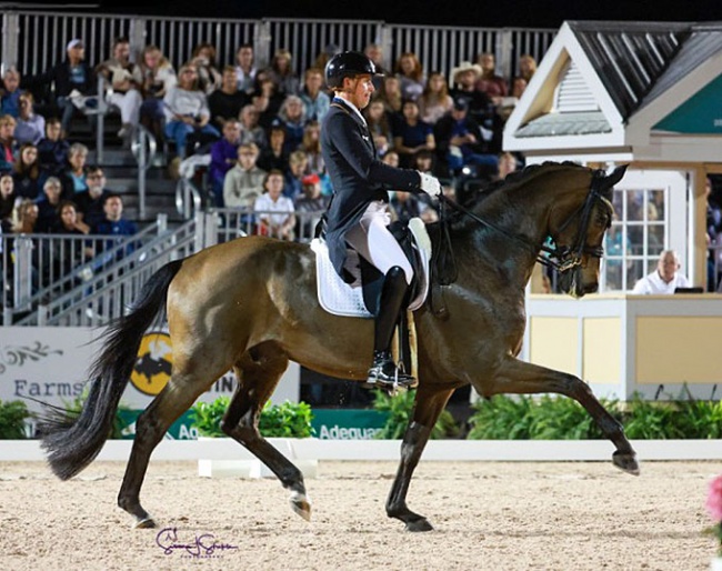 Frederic Wandres and Bluetooth at the 2023 CDI-W Wellington :: Photo © Sue Stickle