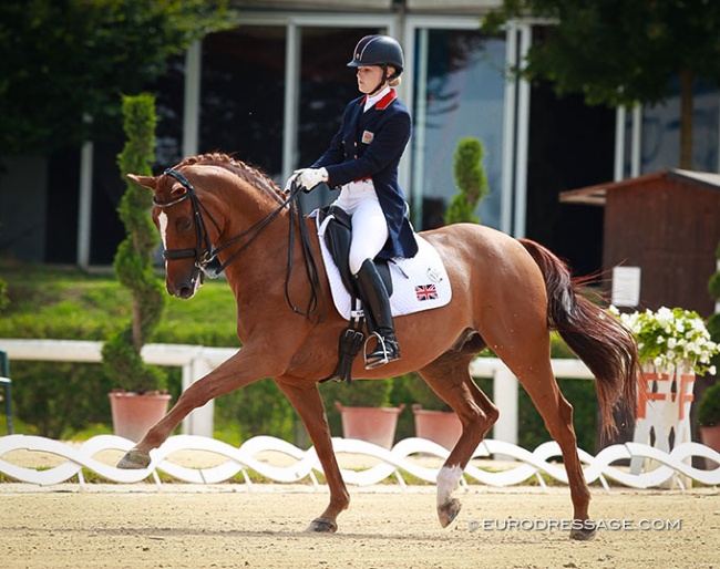 Olivia Oakeley and Donna Summer at the 2014 European Young Riders Championships in Arezzo :: Photo © Astrid Appels