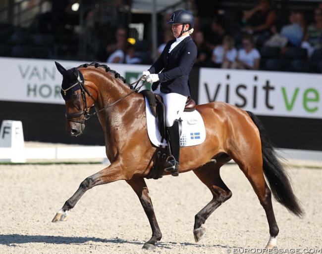 Mikaela Alderin-Danielsson and Hilus MHB at the 2018 World Young Horse Championships :: Photo © Astrid Appels