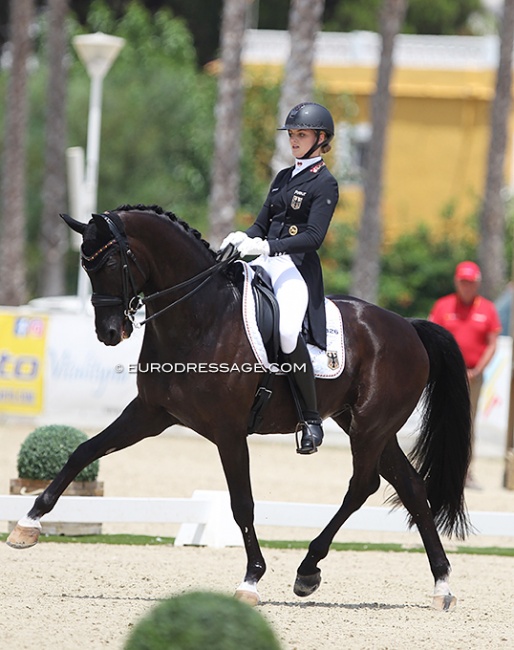 Luca Collin and Descolari at the 2021 European Young Riders Championships in Oliva Nova :: Photo © Astrid Appels
