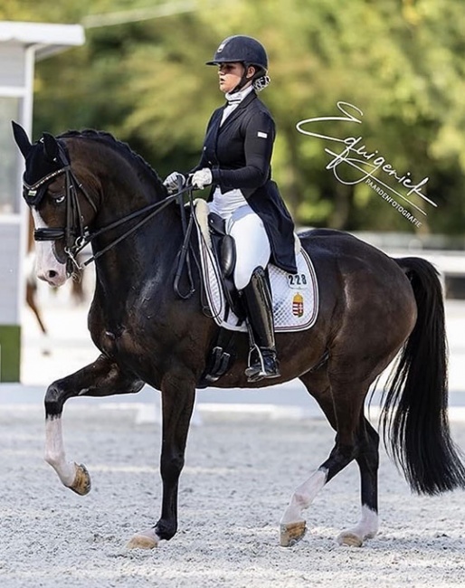 Jazmin Yom-Tov on For Joy in the 2022 European Under 25 Championships at Pilisjaszfalu :: Photo © Equigeniek