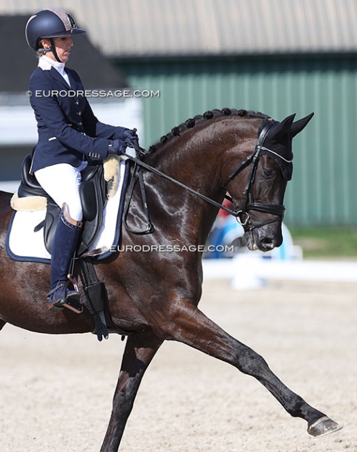 Manon Claeys and San Dior at the 2022 CPEDI Grote Brogel in July :: Photo © Astrid Appels