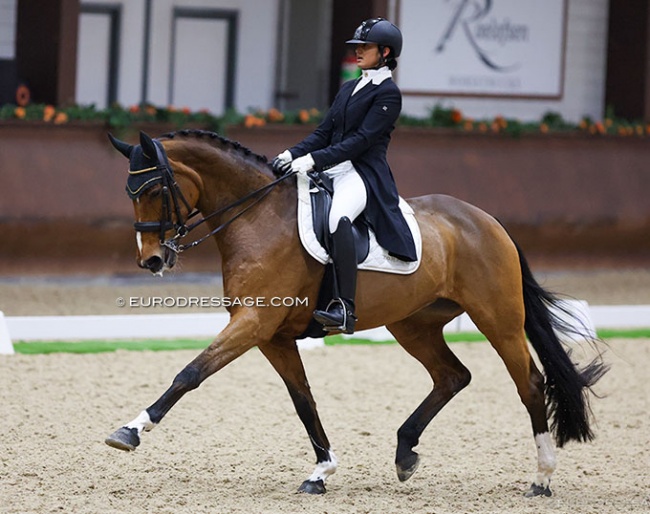 Divyakriti Singh on Donna Wetter at the 2022 CDI Kronenberg :: Photo © Astrid Appels
