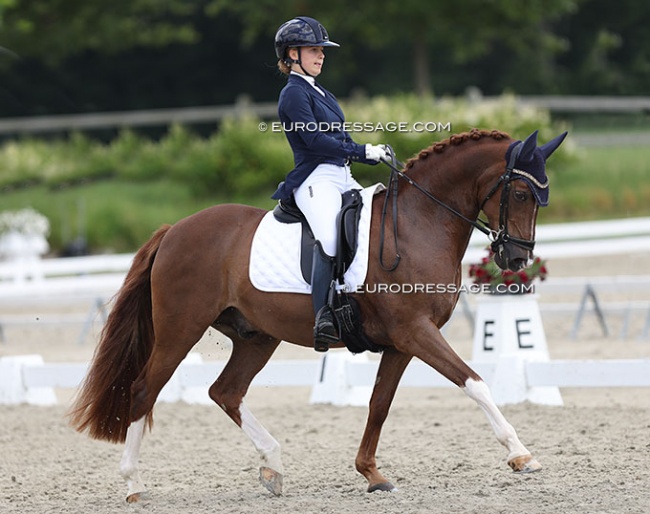 Maddy Dijkshoorn and Boogie de l'Aube at the 2022 CDI Meerle :: Photo © Astrid Appels