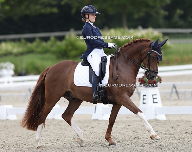 Maddy Dijkshoorn and Boogie de l'Aube at the 2022 CDI Meerle :: Photo © Astrid Appels