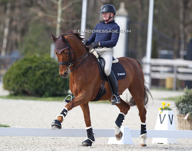 Hubertus Schmidt schooling Denoix at the 2022 CDI Opglabbeek :: Photo © Astrid Appels