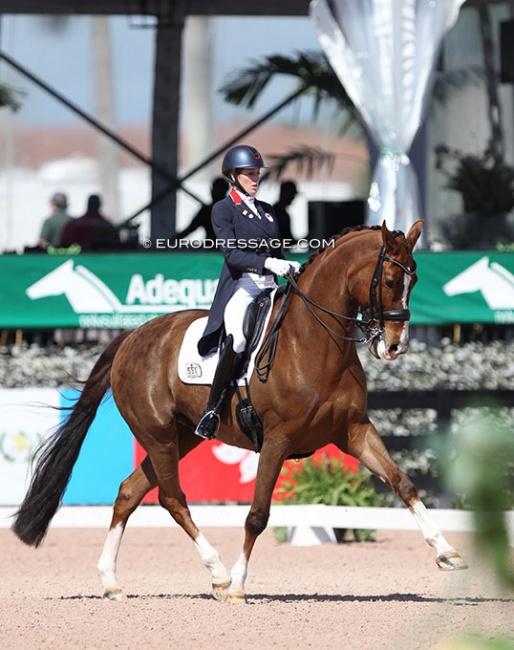 Brittany Fraser-Beaulieu and All In competing in the 2022 Palm Beach Derby :: Photo © Astrid Appels