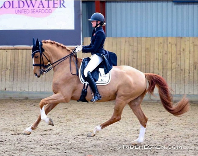 Johanne Amby Ubbesen on Møgelvangs Ferrari (by Sezuan x Come Back II) :: Photo © Ridehesten