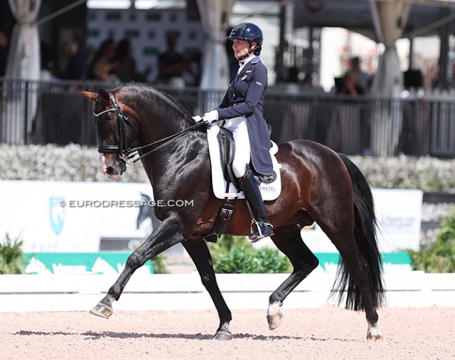 Charlotte Jorst and Nintendo in their final show, the 2023 Palm Beach Derby :: Photo © Astrid Appels