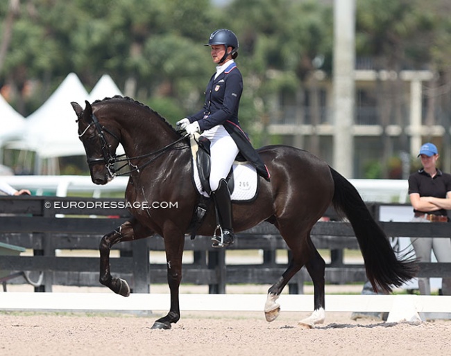 Adrienne Lyle and Feodoro in the horse's Inter II debut in March at the 2023 CDN Wellington :: Photo © Astrid Appels
