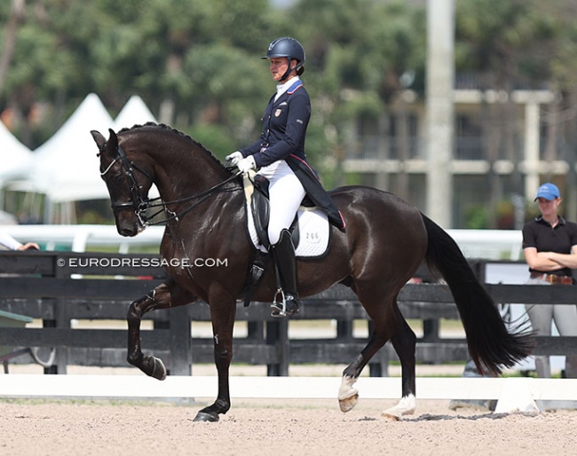 Adrienne Lyle and Feodoro in the horse's Inter II debut in March at the 2023 CDN Wellington :: Photo © Astrid Appels