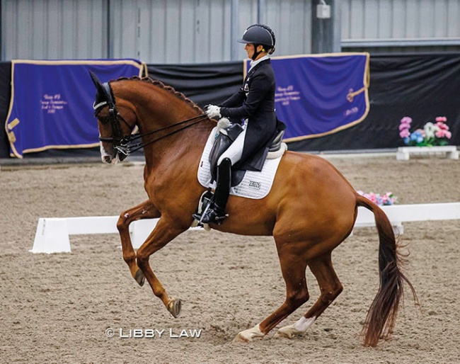 Melissa Galloway and Windermere J'Obei W at the 2023 New Zealand Dressage Championships in Taupo :: Photo © Your View Photography