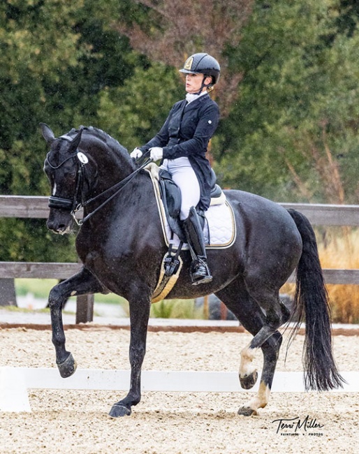 Rebecca Rigdon and Heide Spirit win the Grand Prix at the rainy 2023 CDI Temecula in California :: Photo © Terri Miller