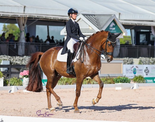 Morgan Barbancon and Habana Libre A at the 2023 CDI Wellington :: Photo © Sue Stickle