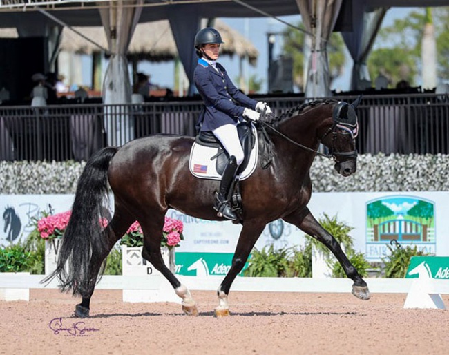 Fiona Howard and Solitaer at the 2023 CPEDI Wellington :: Photo © Sue Stickle
