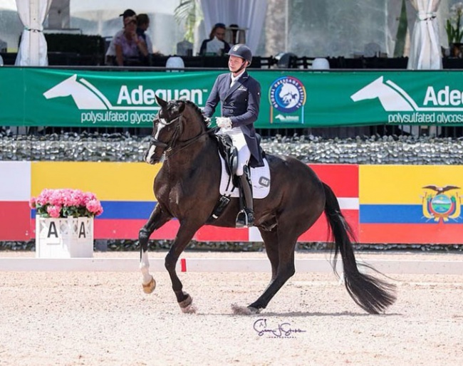 Kevin Kohmann and Dünensee at the 2023 CDI Wellington :: Photo © Sue Stickle