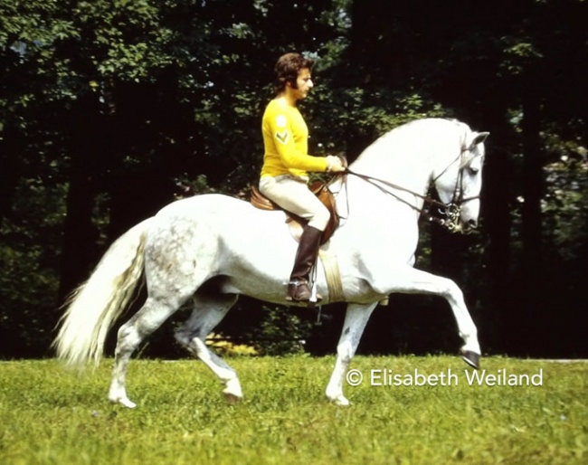 Fredy Knie junior successfully trained all kind of wild and domesticated animals, but his partnership with the Andalusian stallion Parzi became legendary :: Photo © Elisabeth Weiland