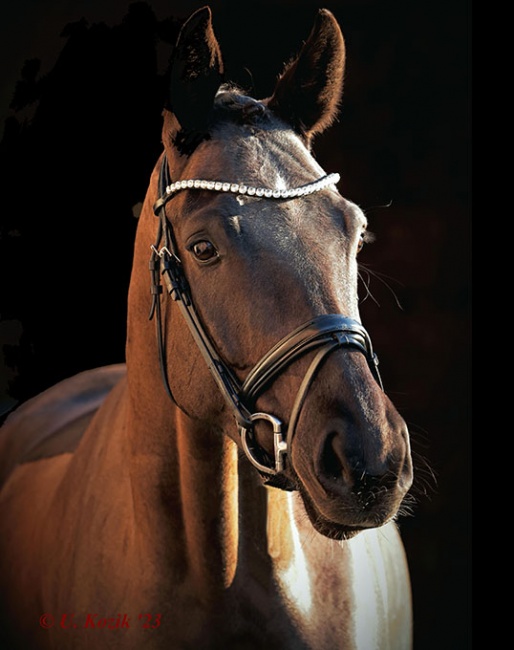 Fabio (by Fashion Maker x Rubinstein)