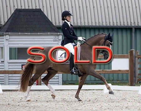 SOLD SOLD SOLD