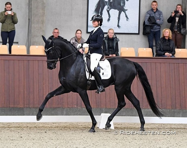 Susanne Barnow and ERA Dancing Memory at the 2022 Danish Young Horse Championships :: Photo © Ridehesten
