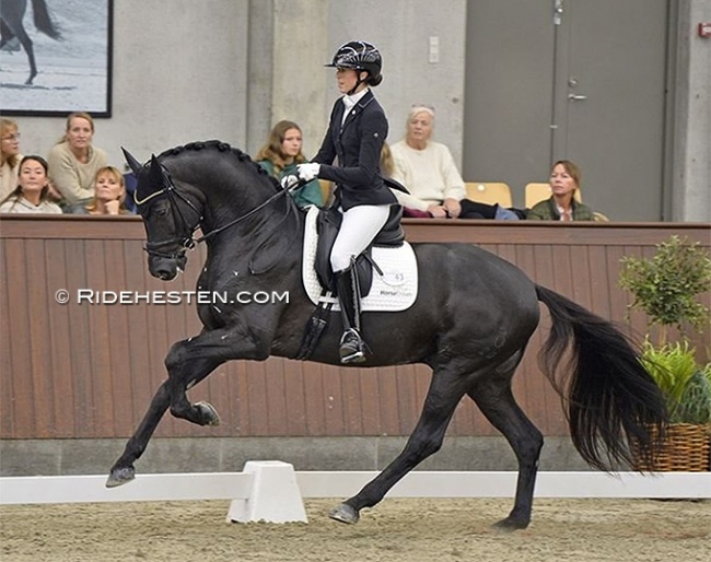 Movie Star and Carina Cassoe Kruth at the 2022 Danish Young Horse Championships :: Photo © Ridehesten