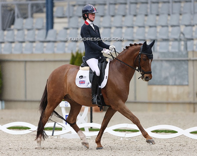Demi Howard-Cartwright on Fin C at the 2023 CDI Aachen Festival 4 Dressage :: Photo © Astrid Appels