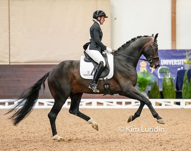 Rianna Percy on Knockando VH at the 2023 Swedish Warmblood stallion performance testing :: Photo © Kim Lundin
