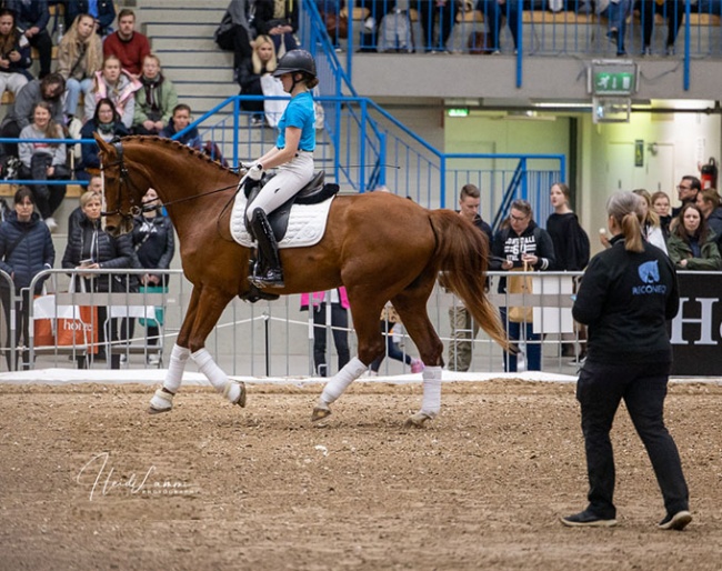 Search the best possible balance and confidence that is available for the moment, and start working from there. The first time on a bigger arena may be exciting, give the horse a good experience of the situation and build confidence that is useful also later :: Photo © Heidi Lammi