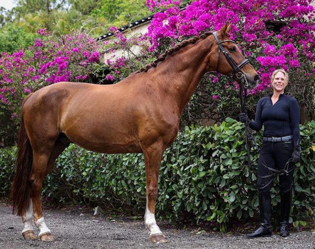Jayne Essig and Charmeur in Florida :: Photo © Israel Arriga