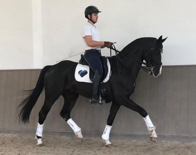 Totality (by Totilas x Sandro Hit x Welt Hit II)