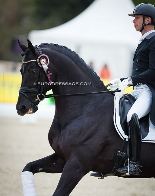 Bart Veeze and Imposantos won the 2022 Dutch Small Tour Championship :: Photo © Astrid Appels