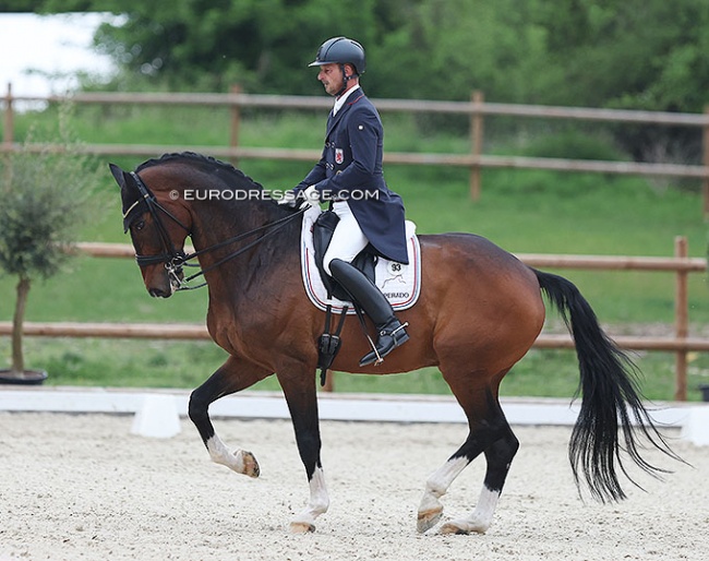 Sacha Schulz and Dayman at the 2022 CDI Troisdorf :: Photo © Astrid Appels