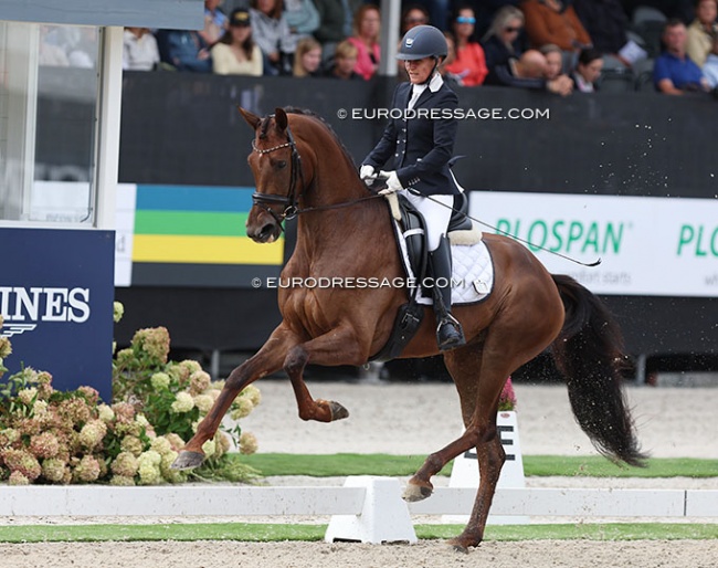 Judith Ribbels with Nanny McPhee in the 4-year old challenge at the 2022 World Young Horse Championships :: Photo © Astrid Appels