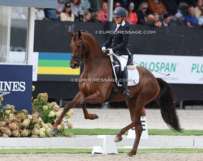 Judith Ribbels with Nanny McPhee in the 4-year old challenge at the 2022 World Young Horse Championships :: Photo © Astrid Appels