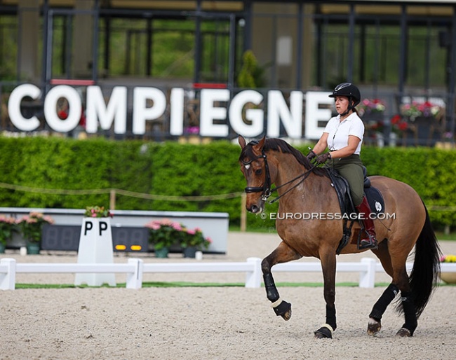 Turkish Rotem Ibrahimzadeh on Glorieus at the 2023 CDIO Compiegne :: Photo © Astrid Appels