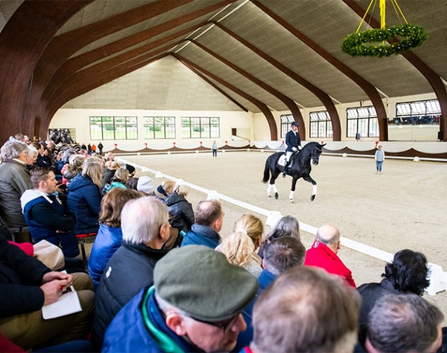 A full house at the 2023 Gestüt Schafhof stallion show on 15 April 2023 :: Photos © Lukasz Kowalski