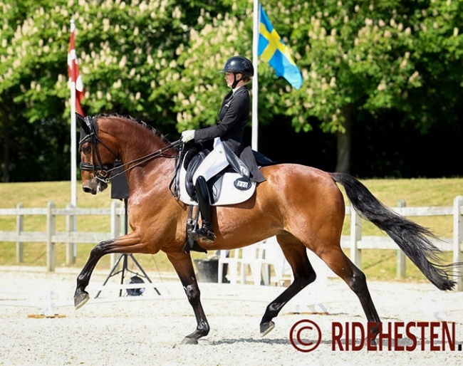 Sophia Obel and Askari Pilekaer at the 2023 Danish Junior / Young Riders Championships :: Photo © Ridehesten