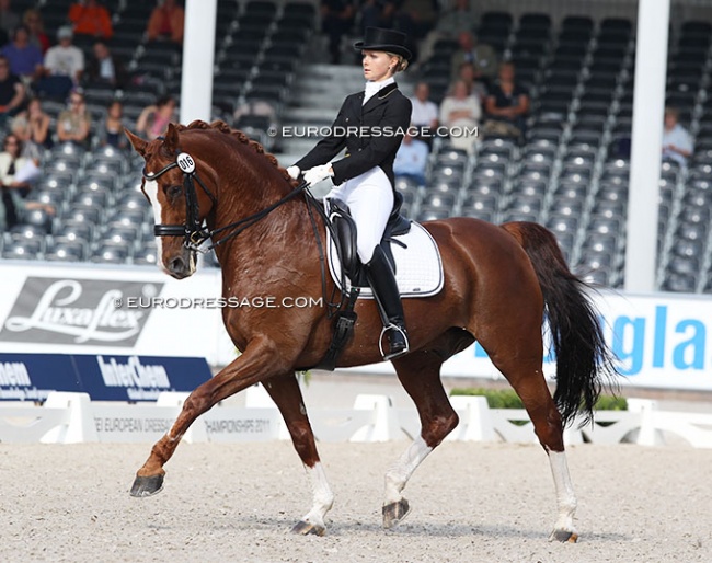 Grete Puvi and O Hot Chocolate at the 2011 European Dressage Championships in Rotterdam :: Photo © Astrid Appels